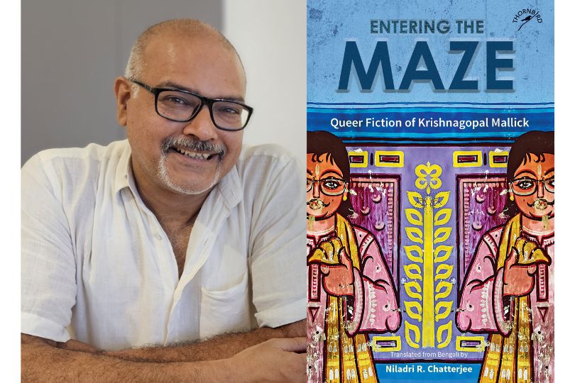 Interview With Niladri R. Chatterjee, author of Entering the Maze