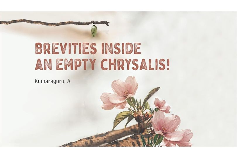 Brevities Inside an Empty Chrysalis