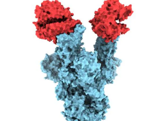 Canadian experts release first molecular images of B.1.1.7 variant of Covid-19